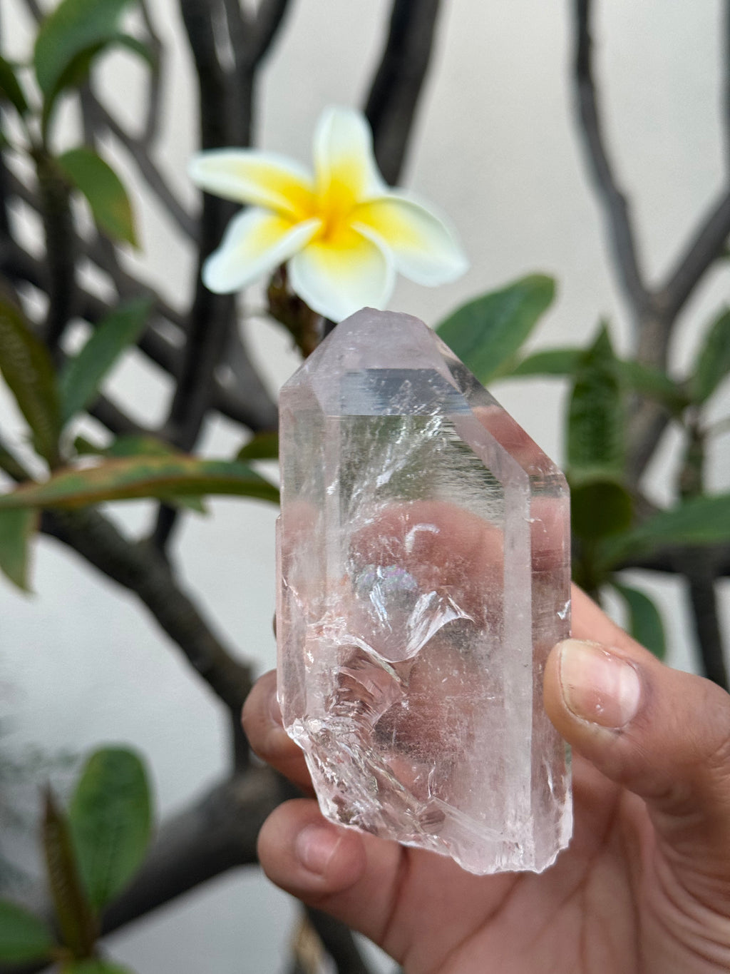 Himalayan Quartz